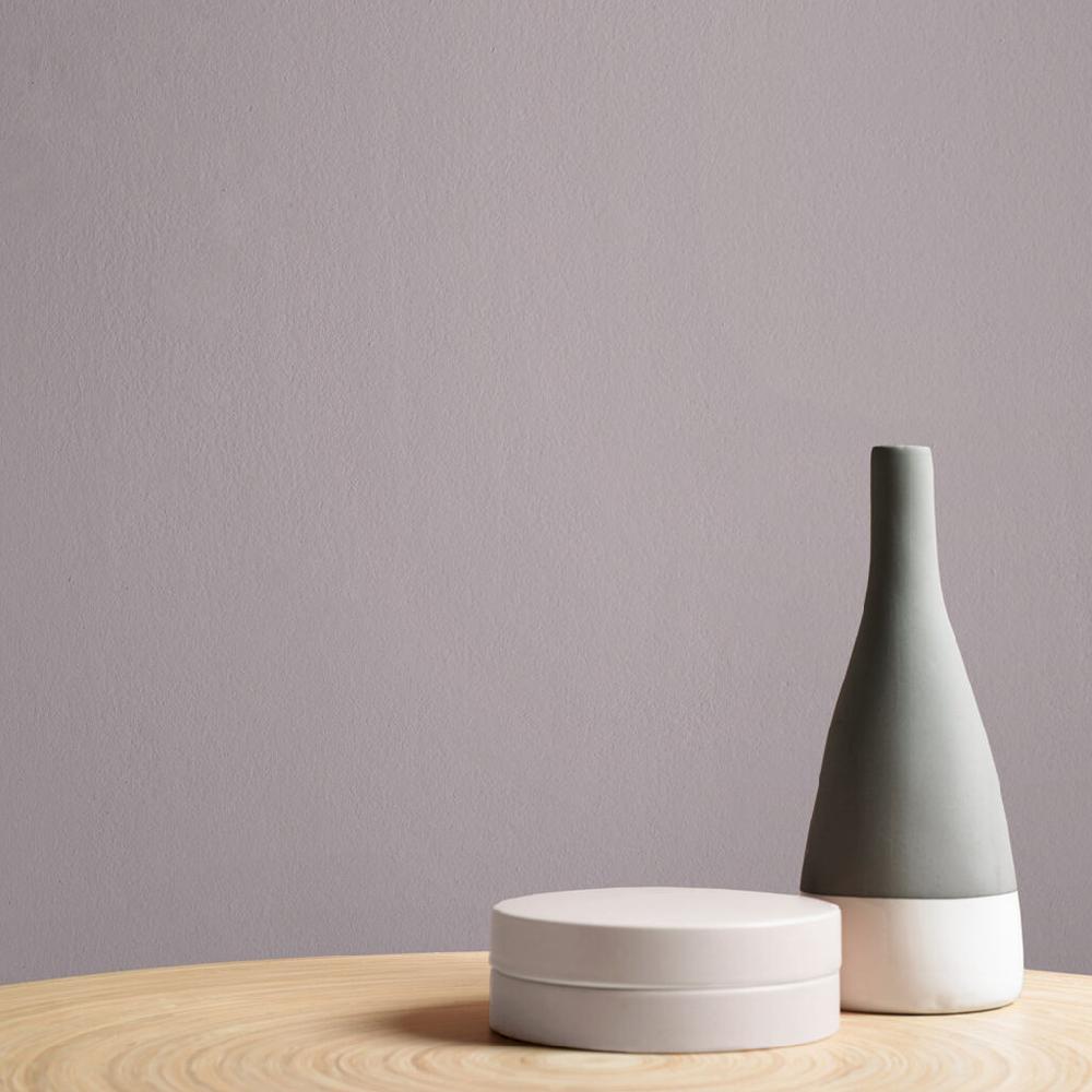 Graham & Brown Seize Paint