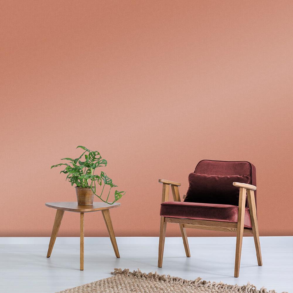 Graham & Brown Sienna Paint