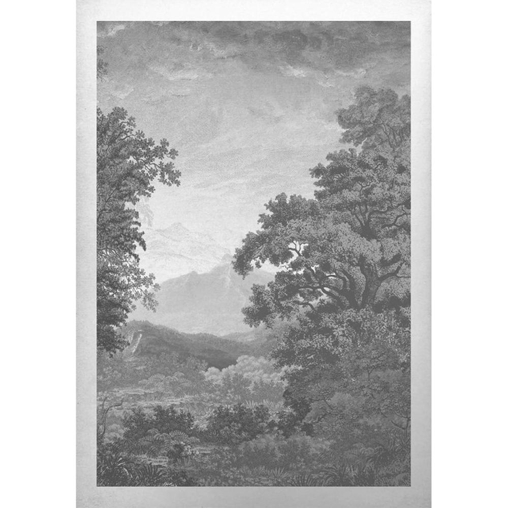 graham & brown Sketch Forest Gray Wall Art