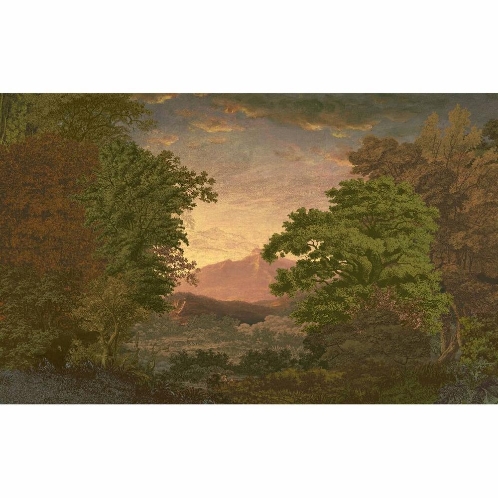 Graham & Brown Sketch Forest Morning Bespoke Mural