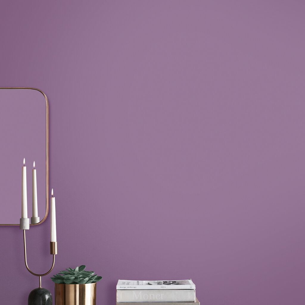 Graham & Brown Sleepless Paint
