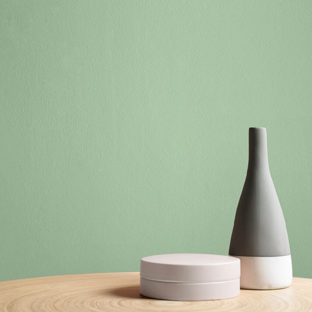 Graham & Brown Smashed Avocado Paint