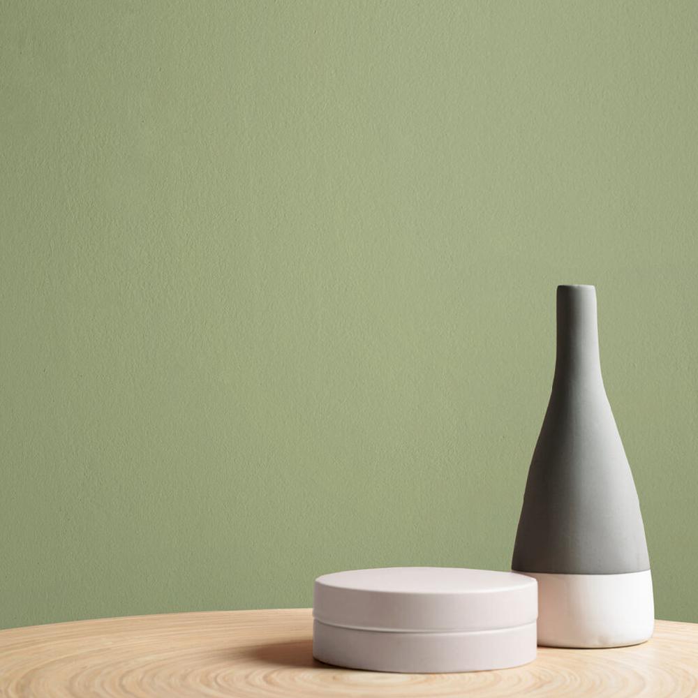 Graham & Brown So Swamped Paint