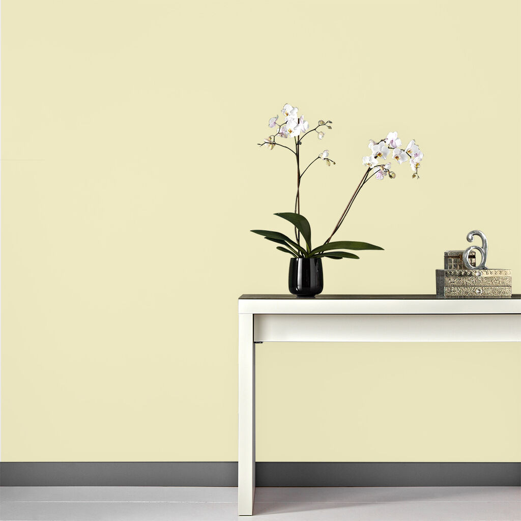 Graham & Brown Soft Ecru Paint