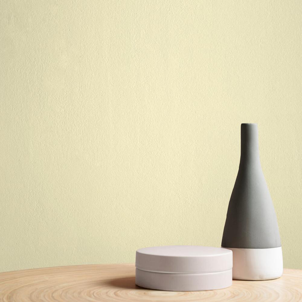 Graham & Brown Soft Ecru Paint