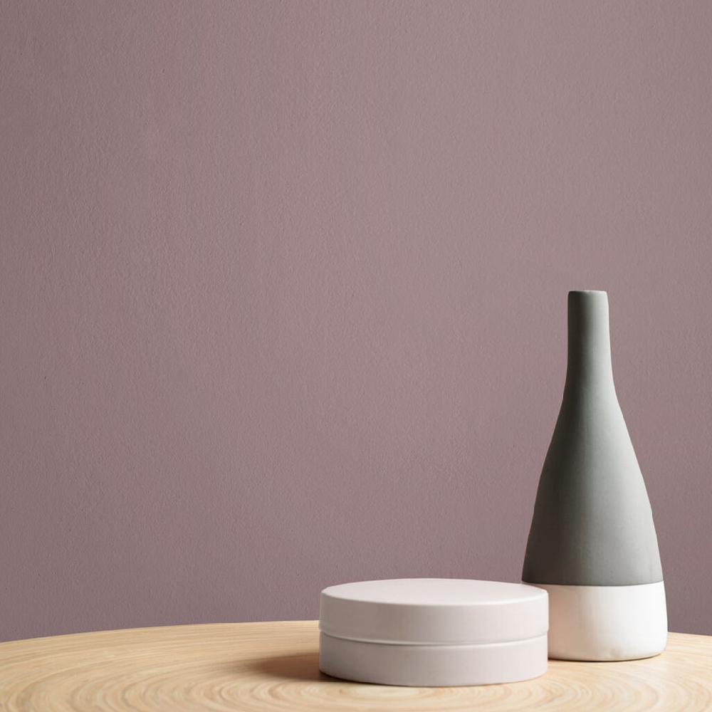 Graham & Brown Spiced Mulberry Paint