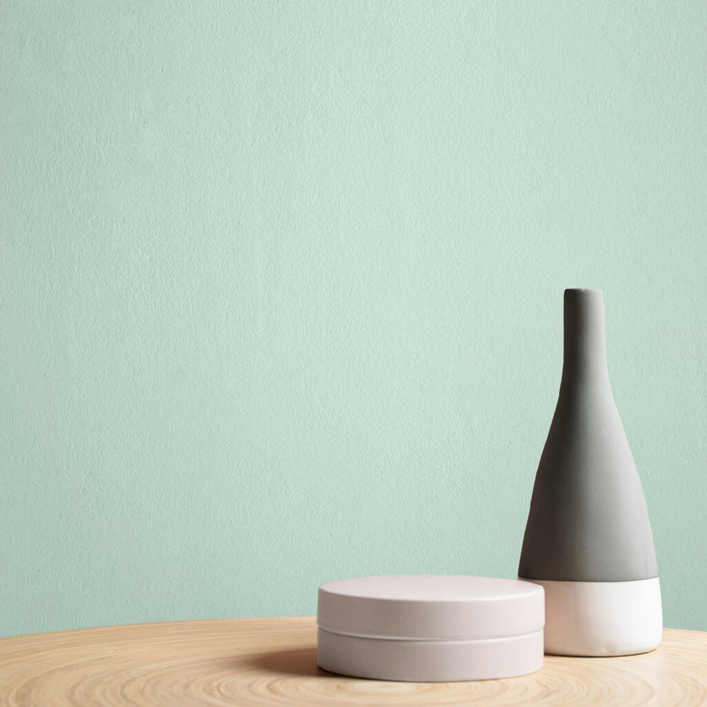 Graham & Brown Spirit Paint