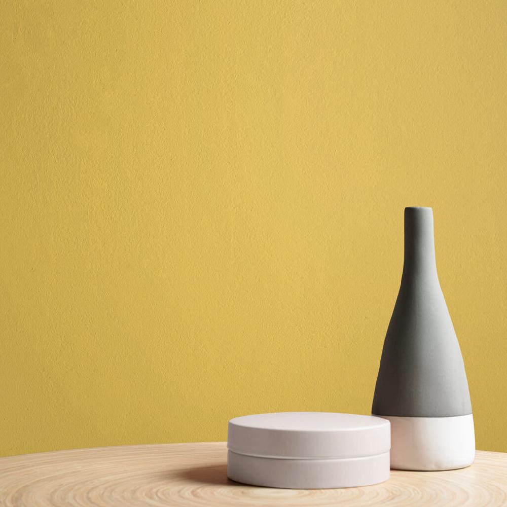 Graham & Brown Sunflower Paint