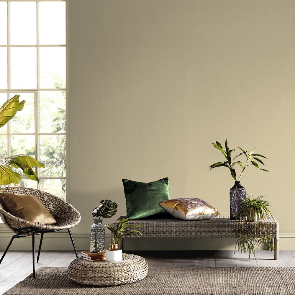 Graham & Brown Tartan Paint