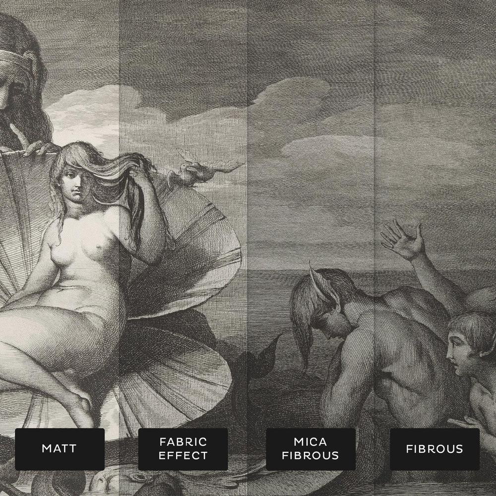 Graham & Brown The Birth Of Venus Bespoke Mural