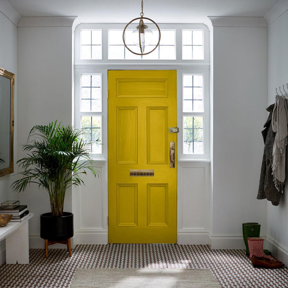 Graham & Brown Toucan Paint