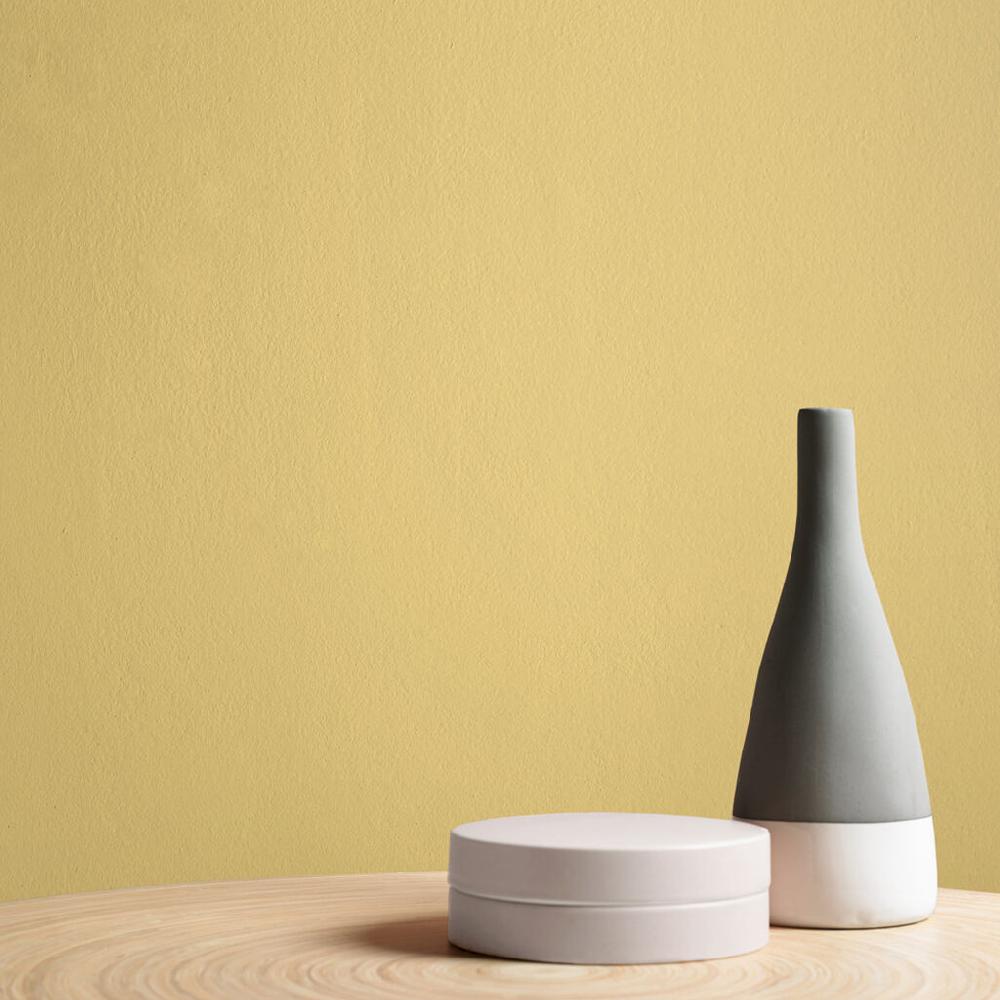 Graham & Brown Tutti Frutti Paint