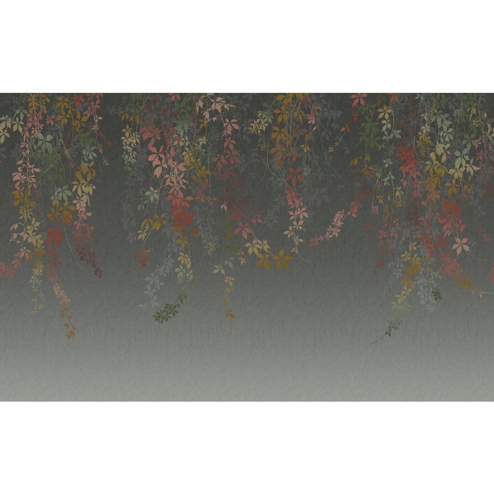 Graham & Brown Virginia Creeper Autumn Bespoke Mural