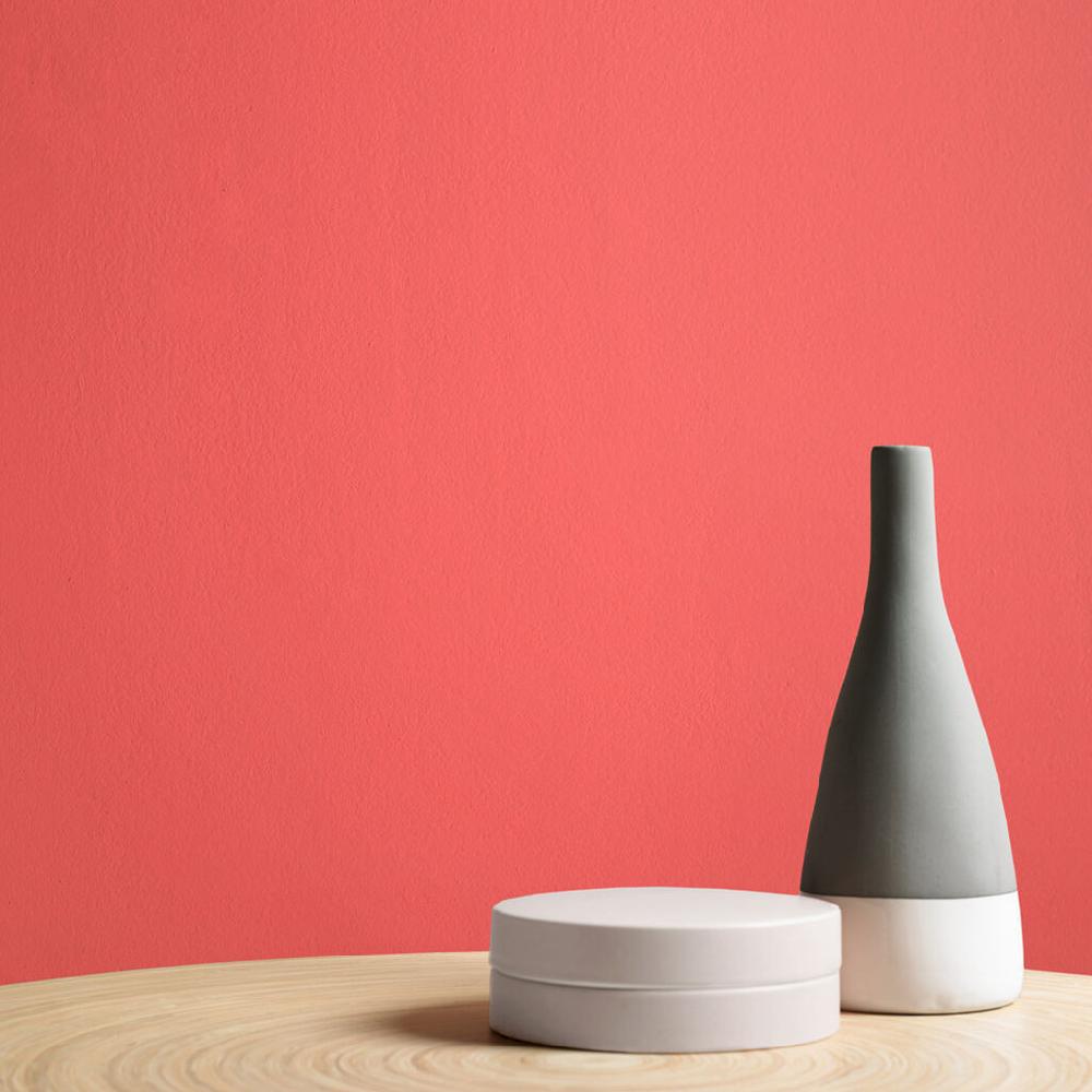 Graham & Brown Watermelon Paint