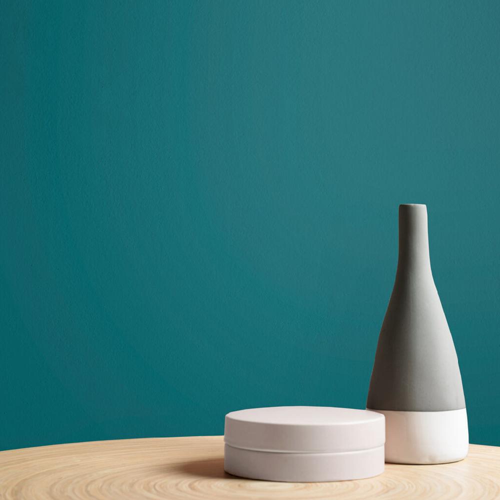 Graham & Brown Whale Tail Paint