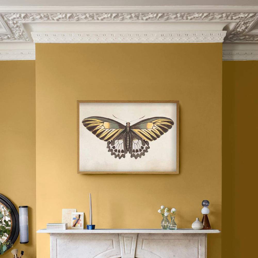 Graham & Brown Whimsical Wings Yellow Wall Art