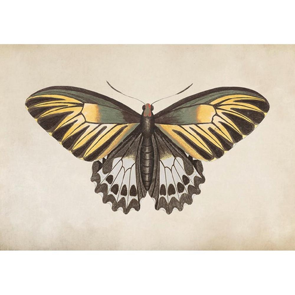 graham & brown Whimsical Wings Yellow Wall Art