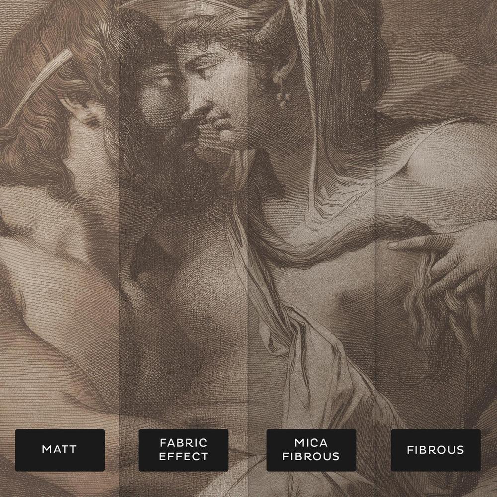 Graham & Brown Jupiter And Juno On Mount Ida Bespoke Mural