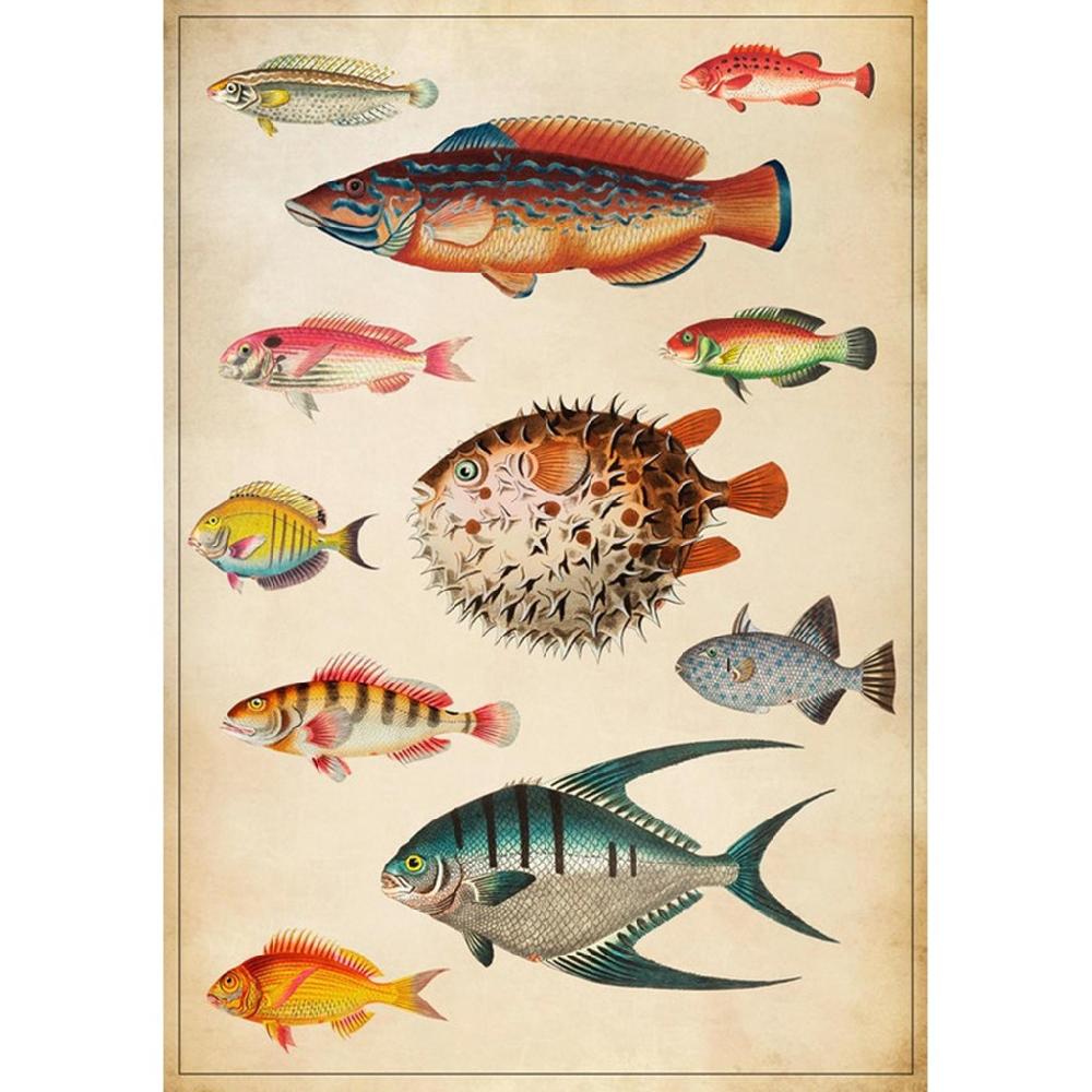 graham & brown School of Thoughts Multicolor Wall Art