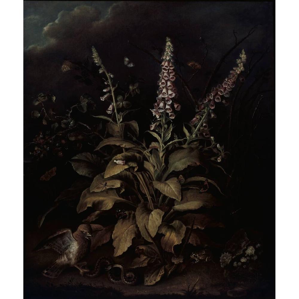 Graham & Brown Weaver Foxglove And Brambles Bespoke Mural