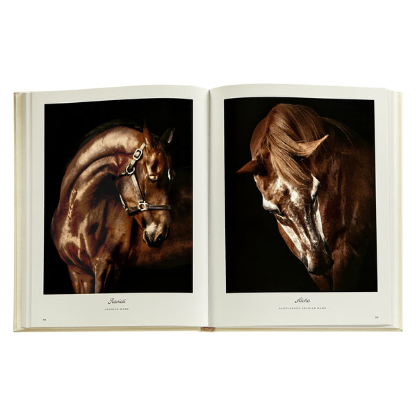 Graphic Image Farm Life: A Collection Of Animal Portraits By Randal Ford