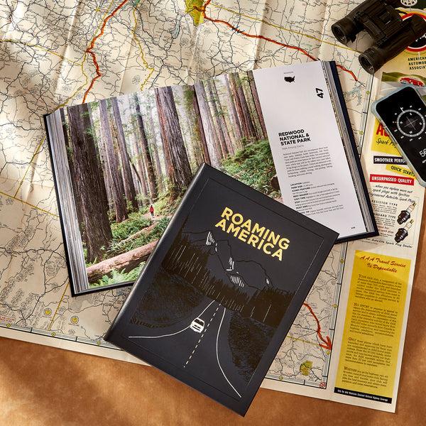 Graphic Image Roaming America