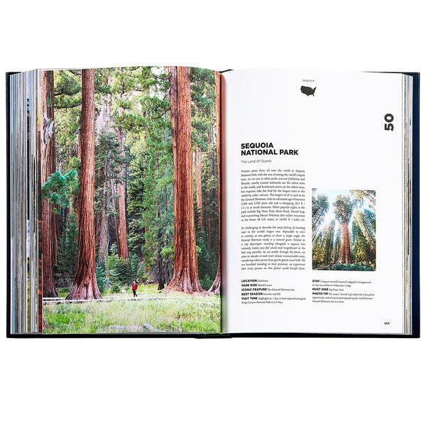 Graphic Image Roaming America