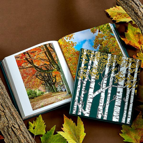 Graphic Image The Hidden Life Of Trees