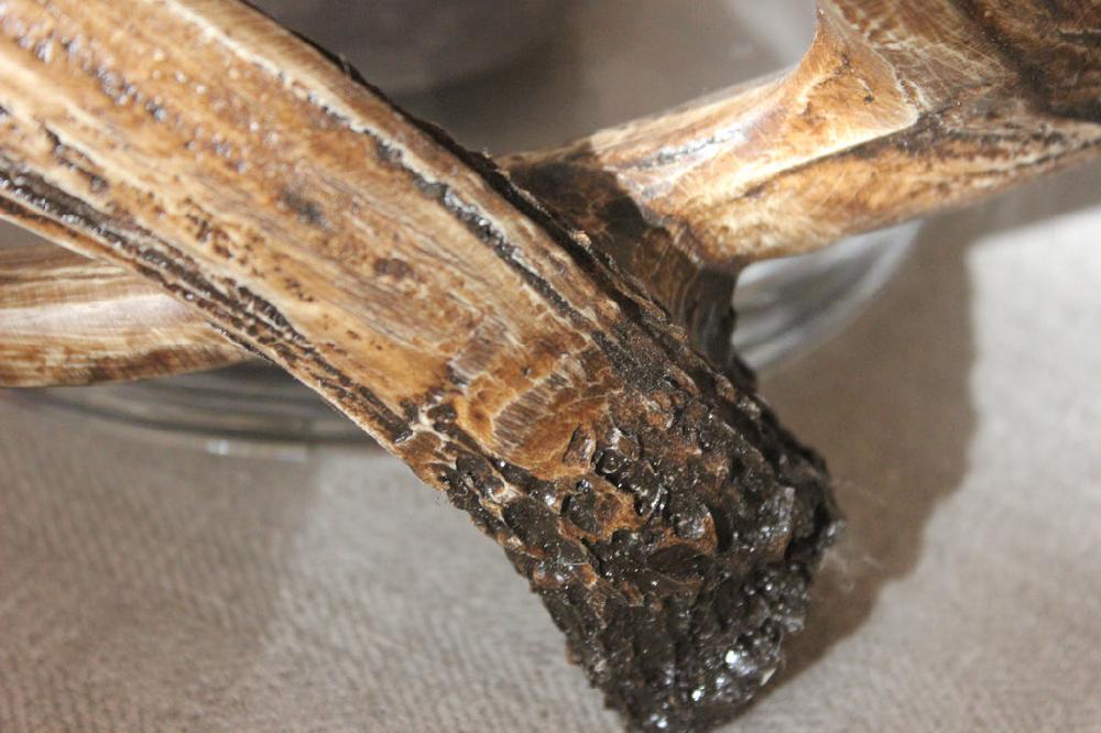 Greige Antler-Wrapped Mouth Blown Glass Hurricane - Two Sizes