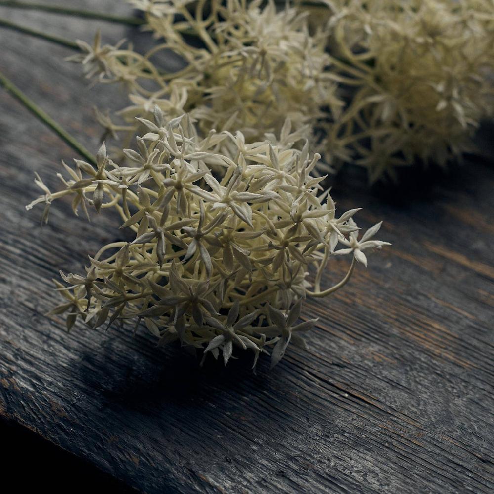 Greige Faux Cream Allium Stem - Three Flowerheads Per Stem