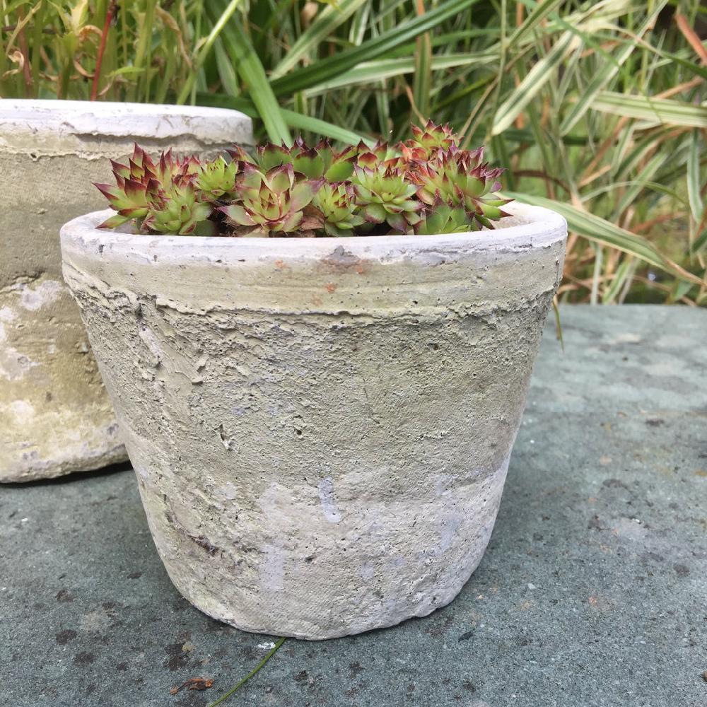 Greige Aged Terracotta Cactus Pot - Various Sizes