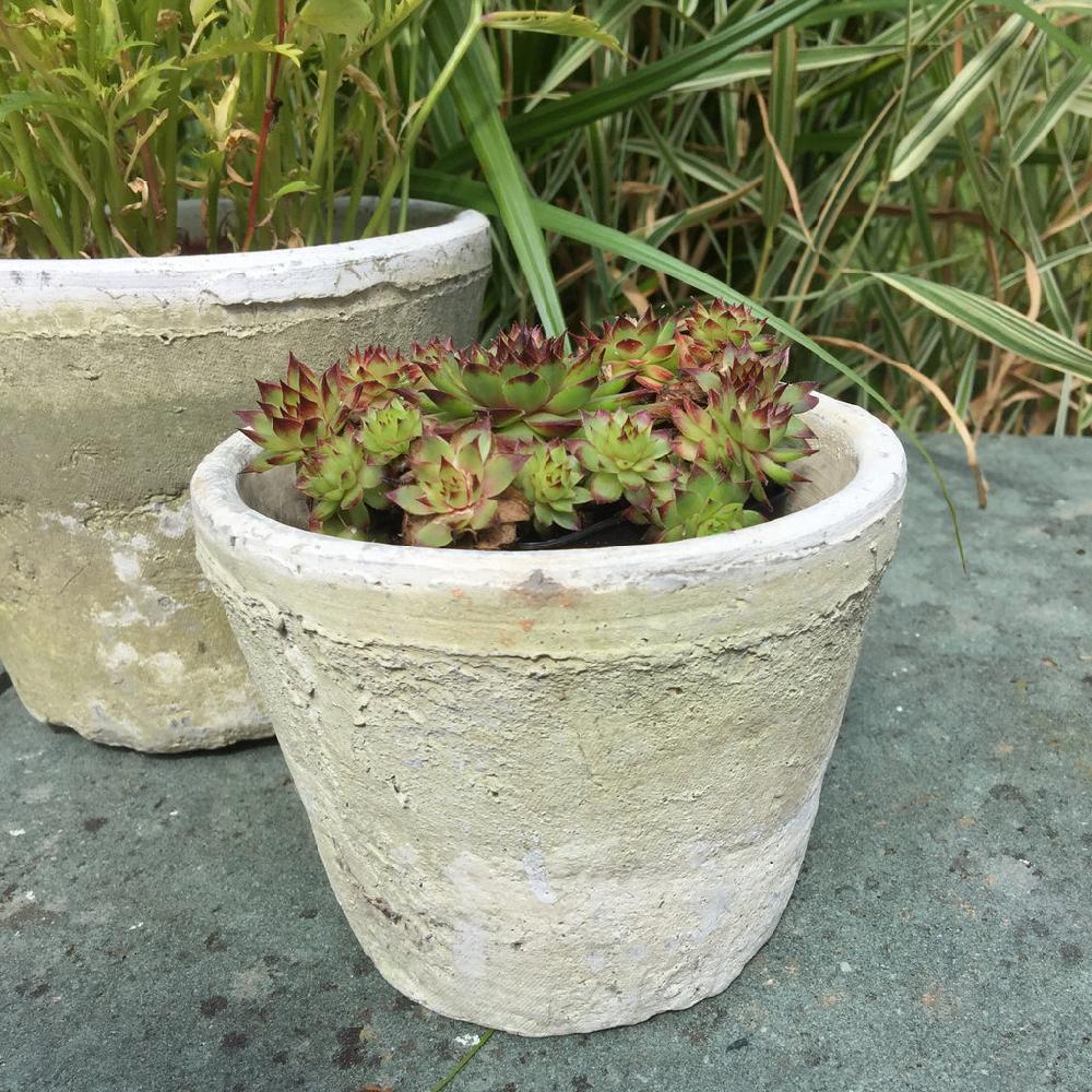 Greige Aged Terracotta Cactus Pot - Various Sizes