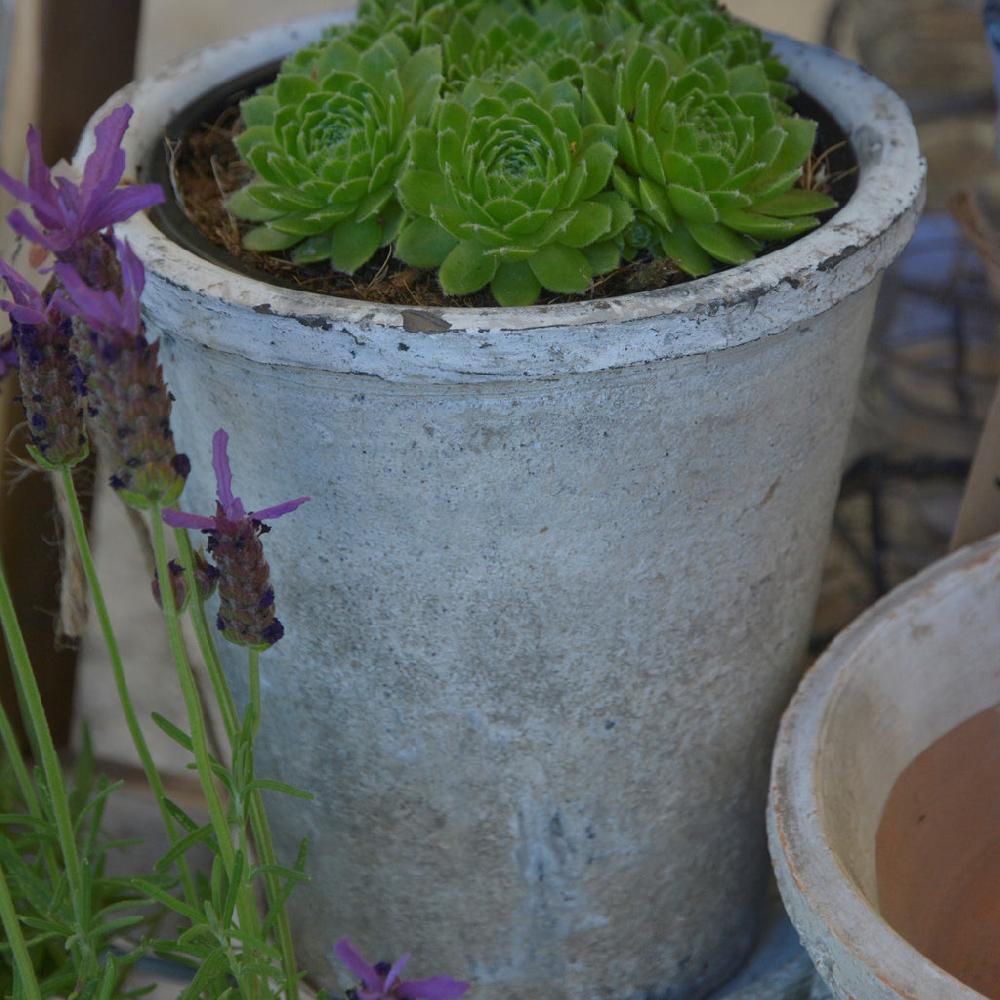 Greige Aged Terracotta Rose Pot - Various Sizes