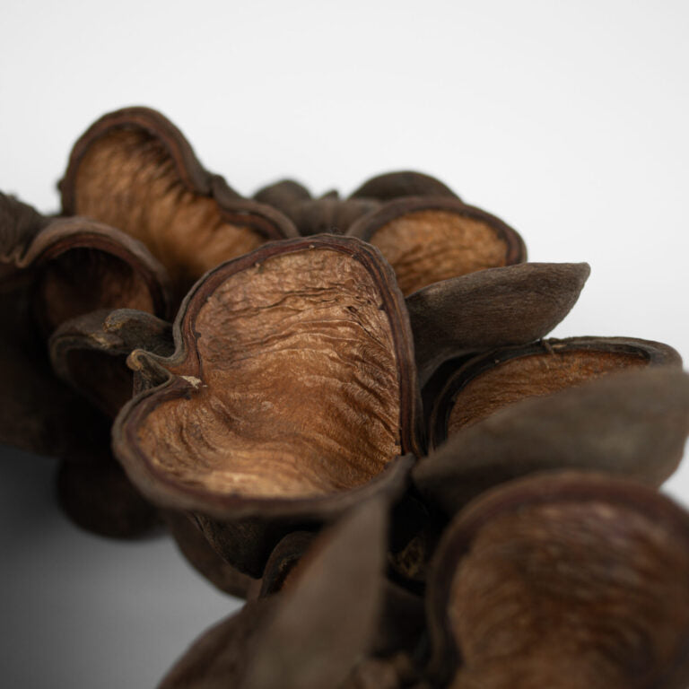 Greige Badam Nut Wreath