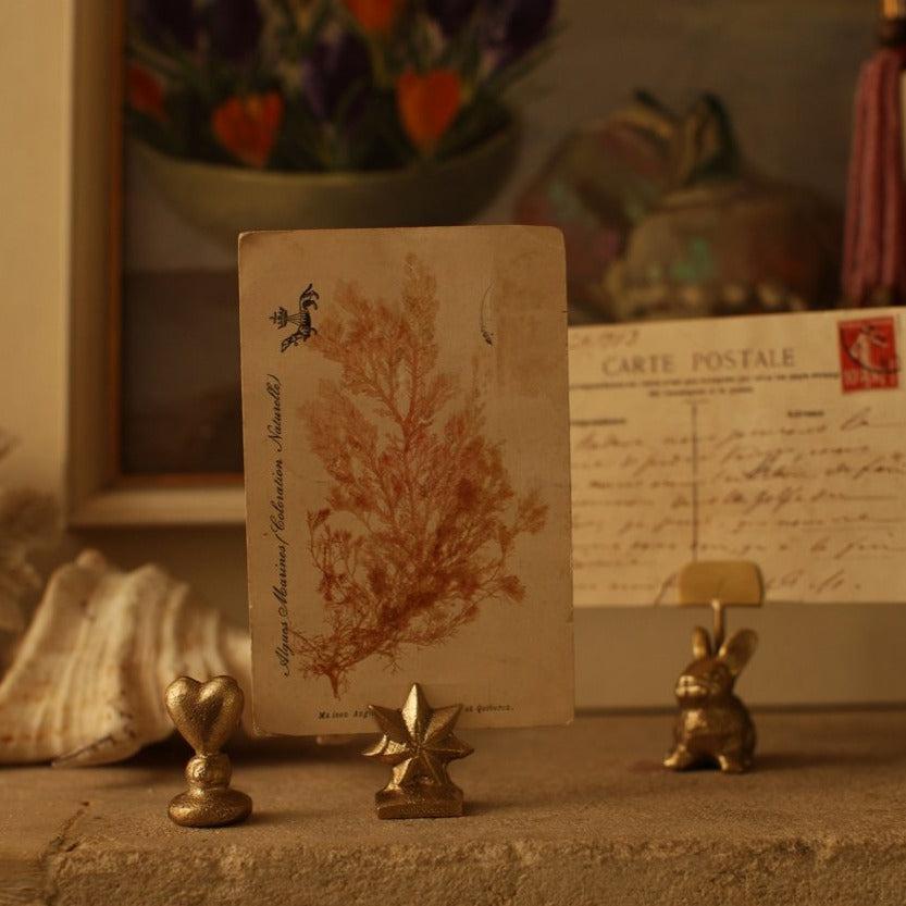 Greige Brass Star Card Holder Or Place Name Holder