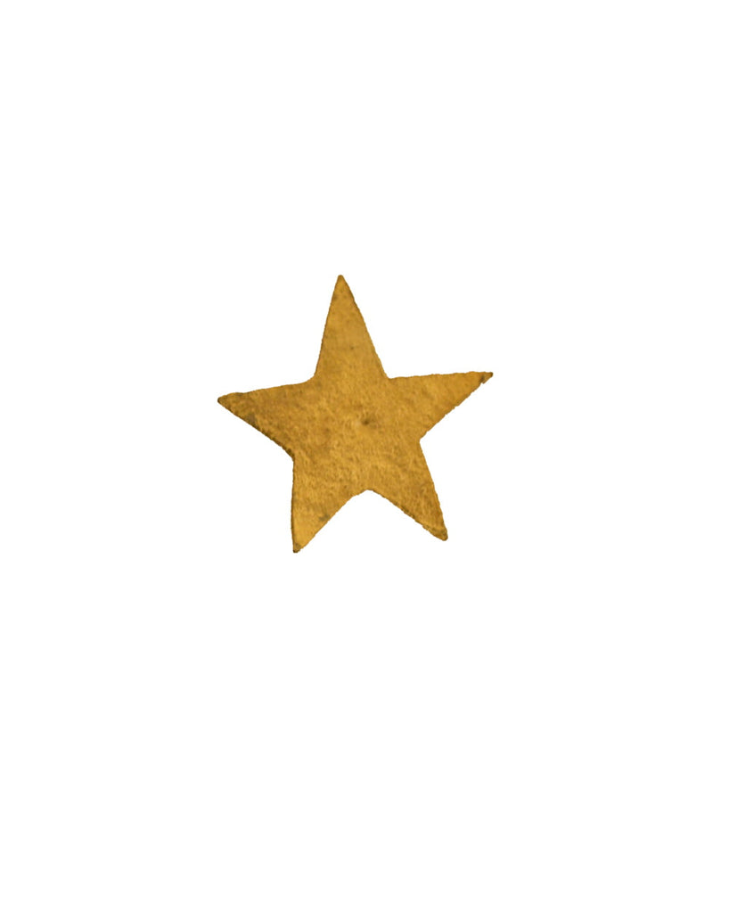 Greige Brass Star Nail - Boncoeurs
