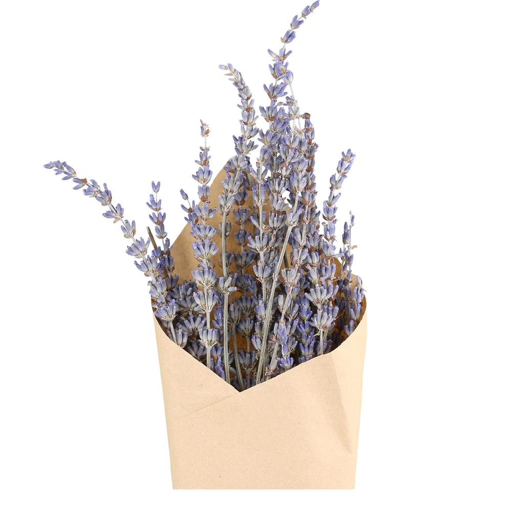 Greige Dried Lavender Bunch