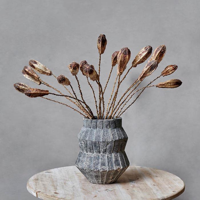 greige Dried Mahogany Pod Bunch