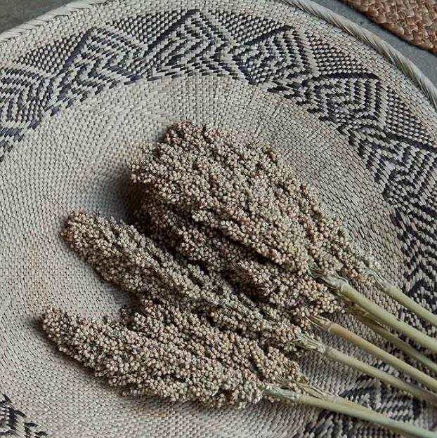 greige Dried Sorghum Stem