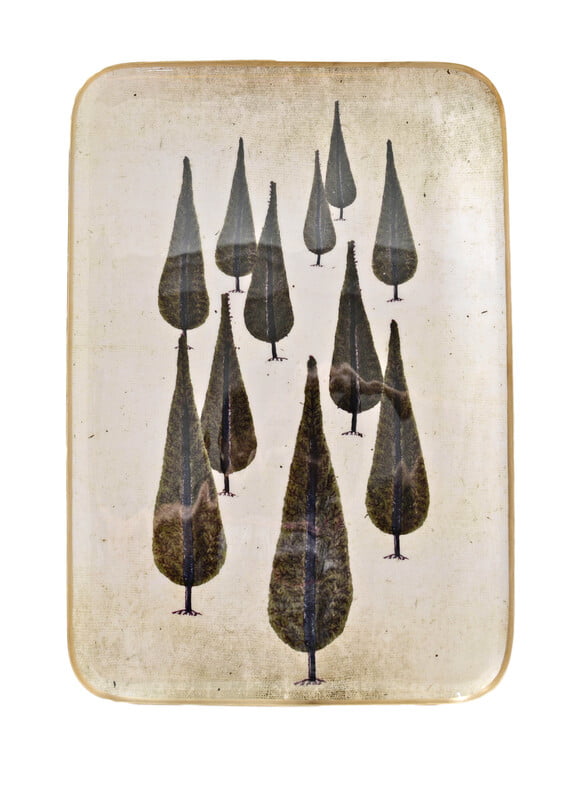 greige Enamelled Cyprus Tree Tray - Large - Boncoeurs