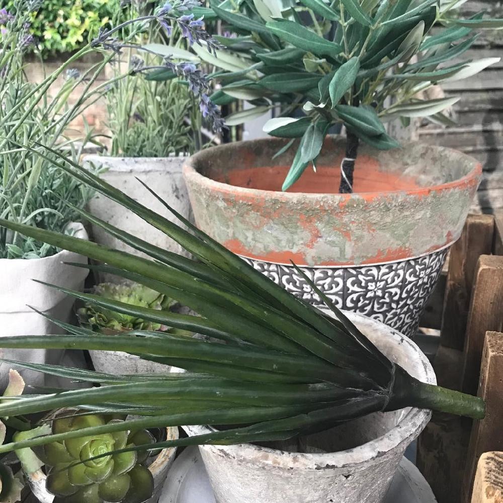 Greige Faux Agave