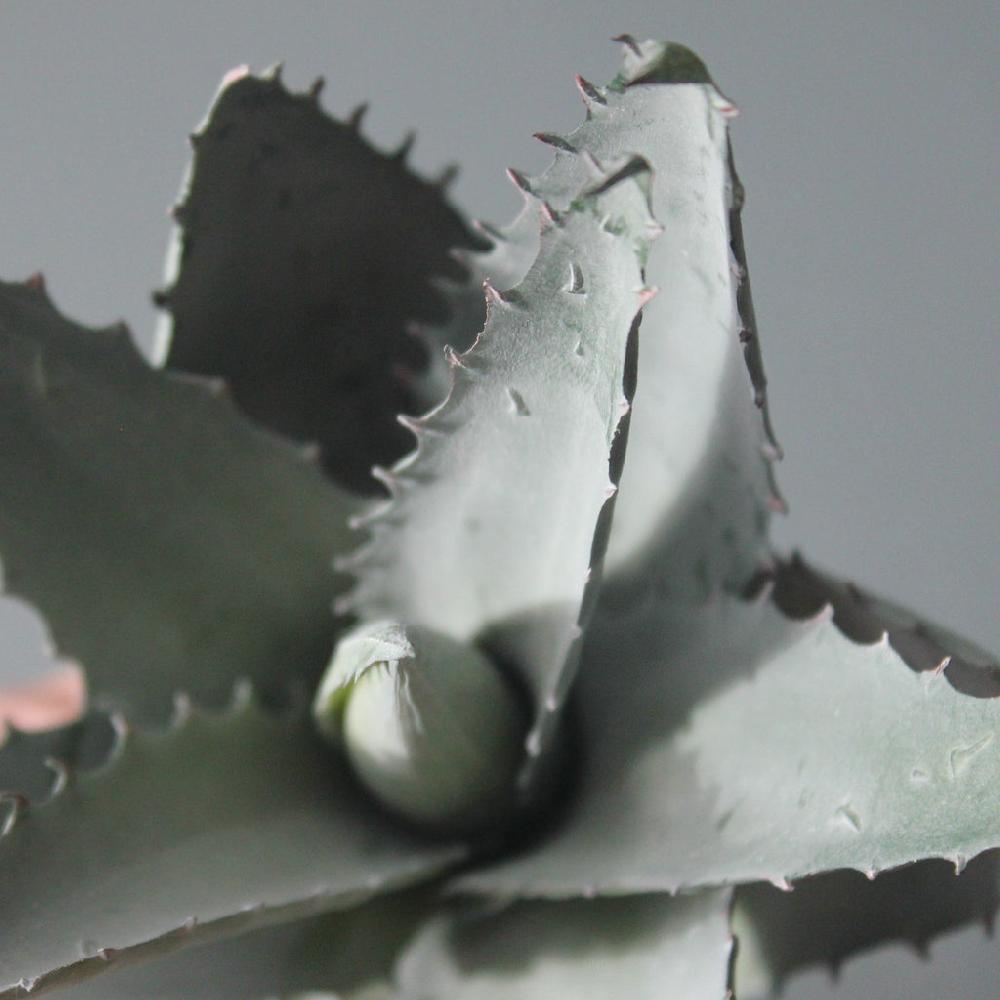 Greige Faux Aloe Plant