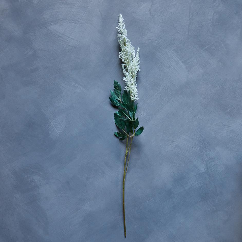 Greige Faux Cream Astilbe