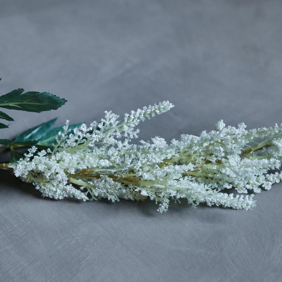 Greige Faux Cream Astilbe