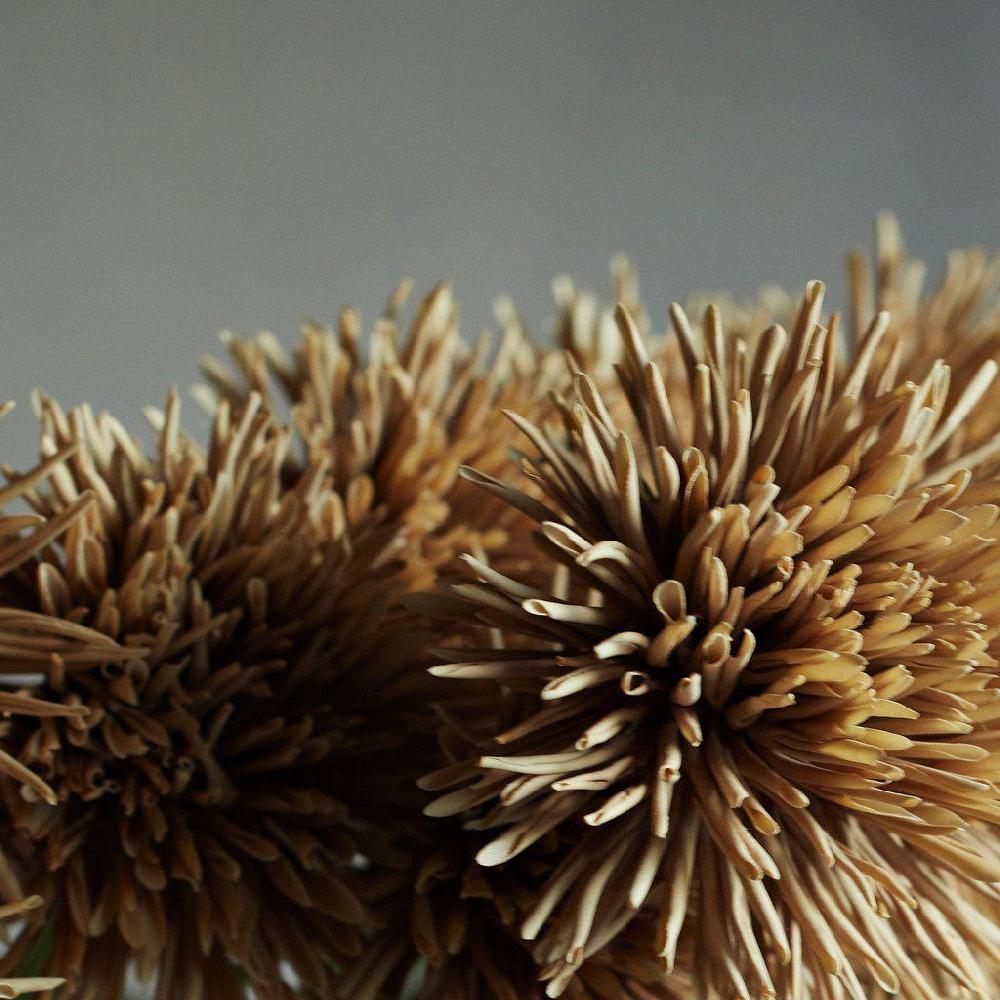 Greige Faux Dahlia Hazel Stem