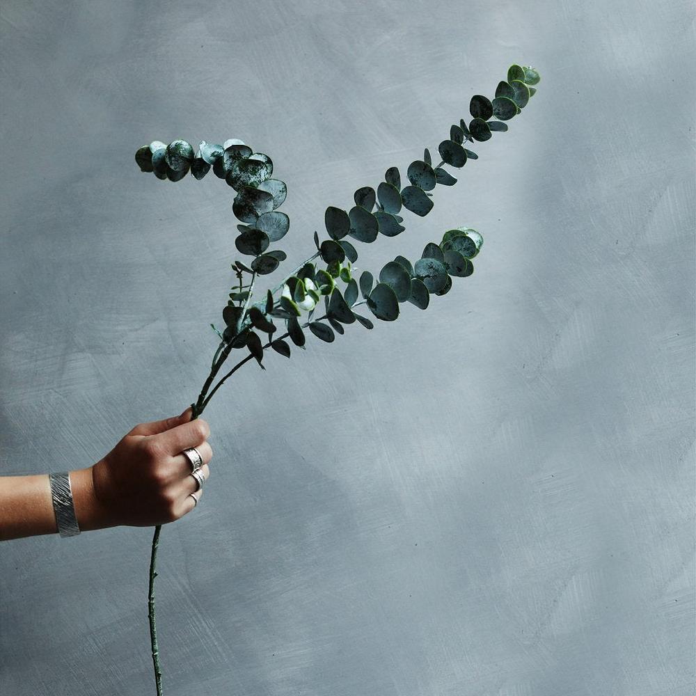 greige Faux Eucalyptus Sage