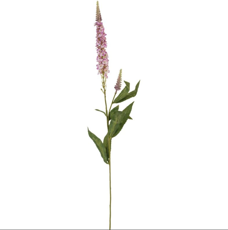 Greige Faux Pink Veronica Stem