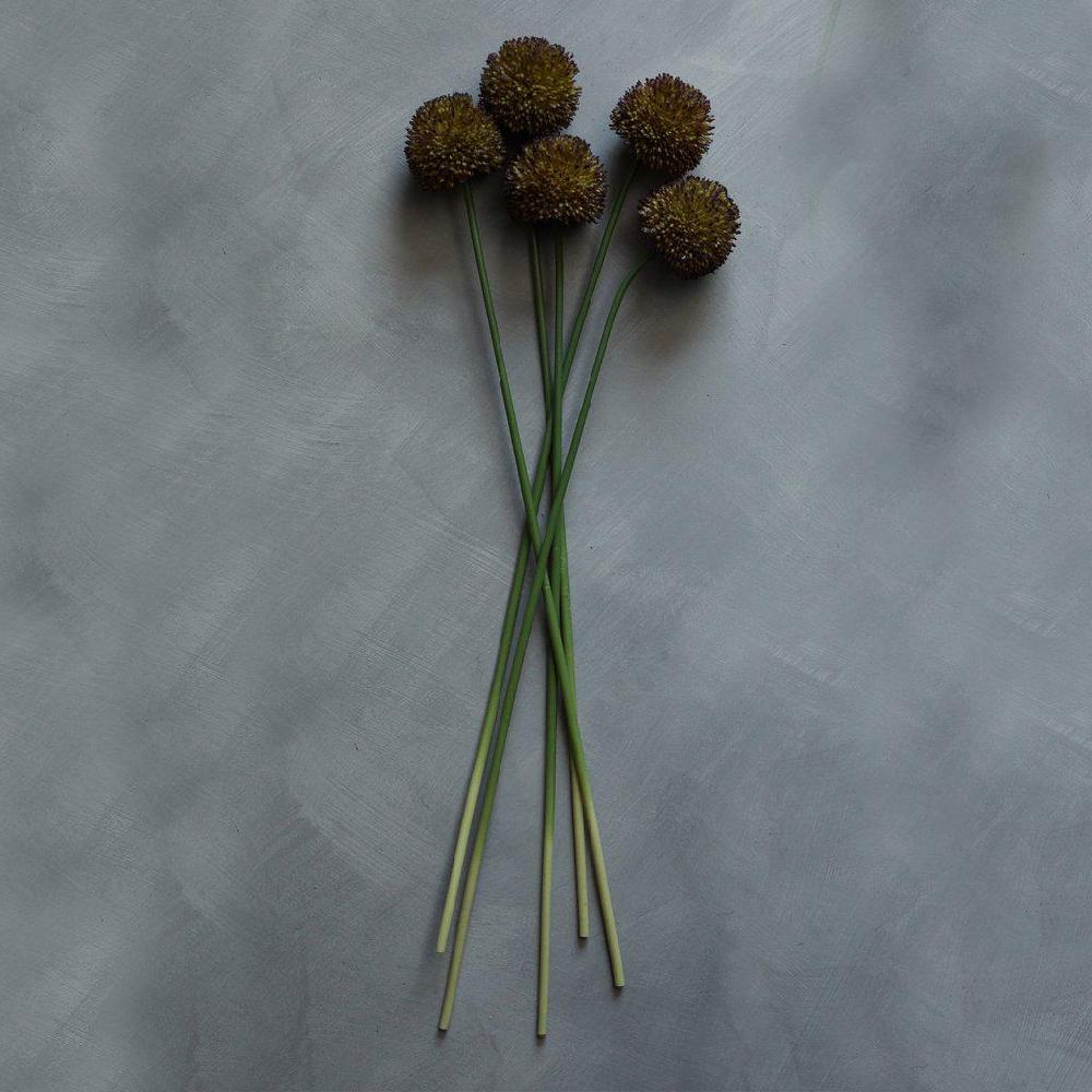 Greige Faux Purple Allium