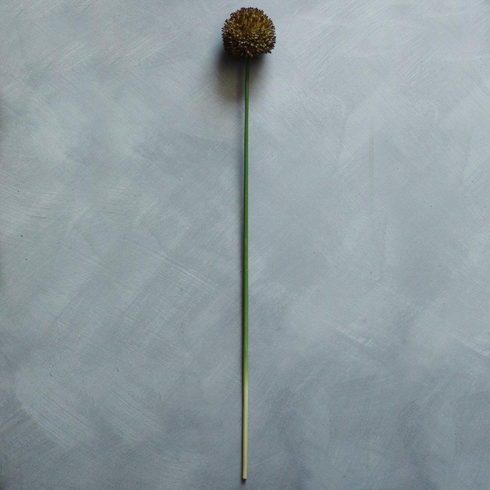 Greige Faux Purple Allium