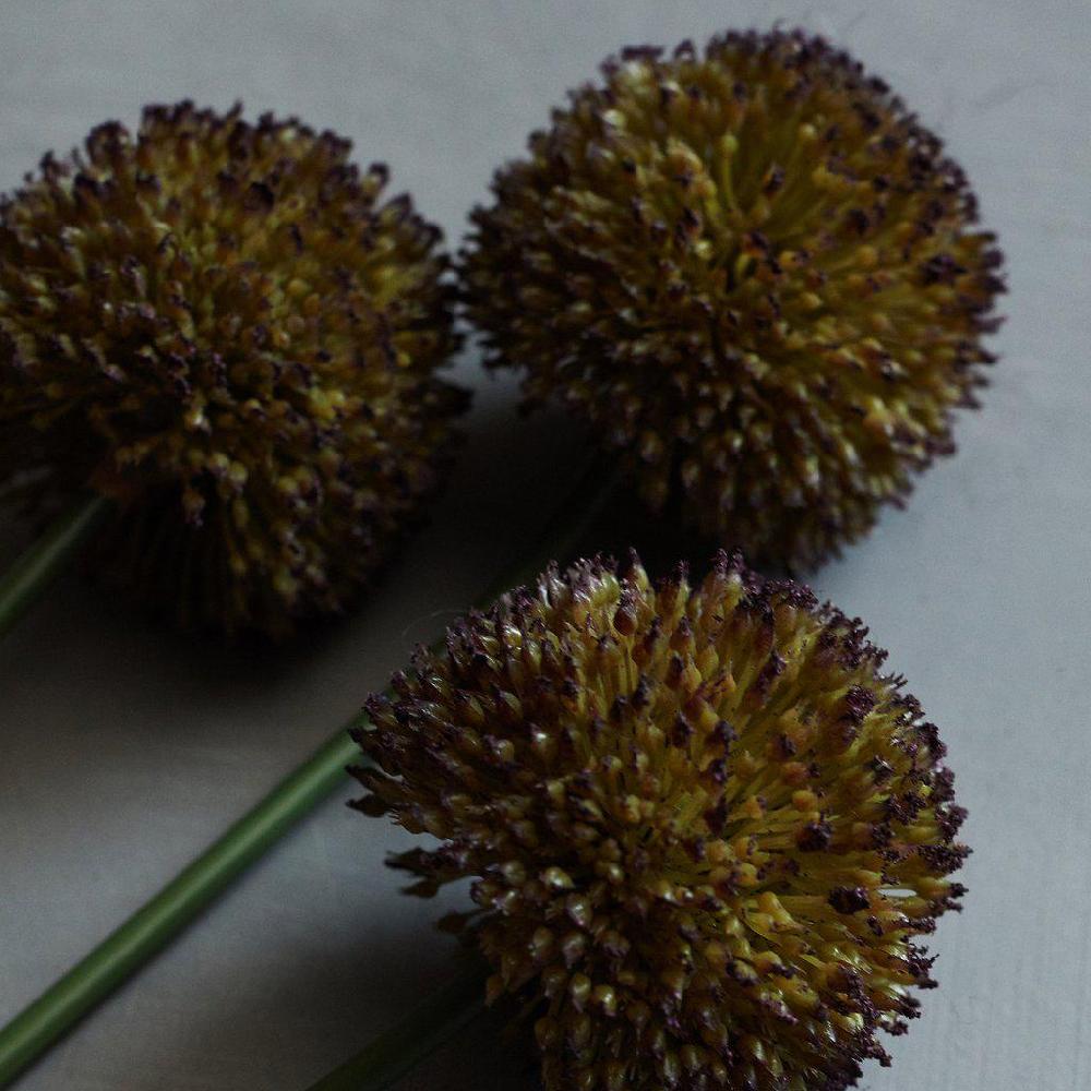greige Faux Purple Allium